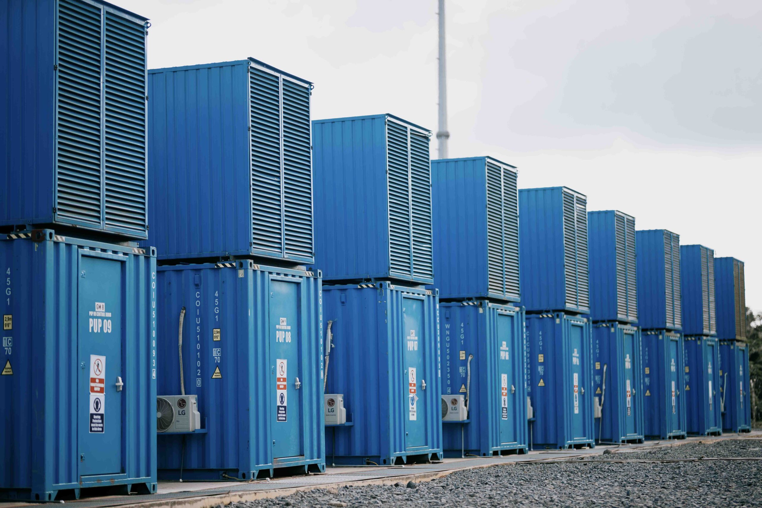 Damang plant image 1