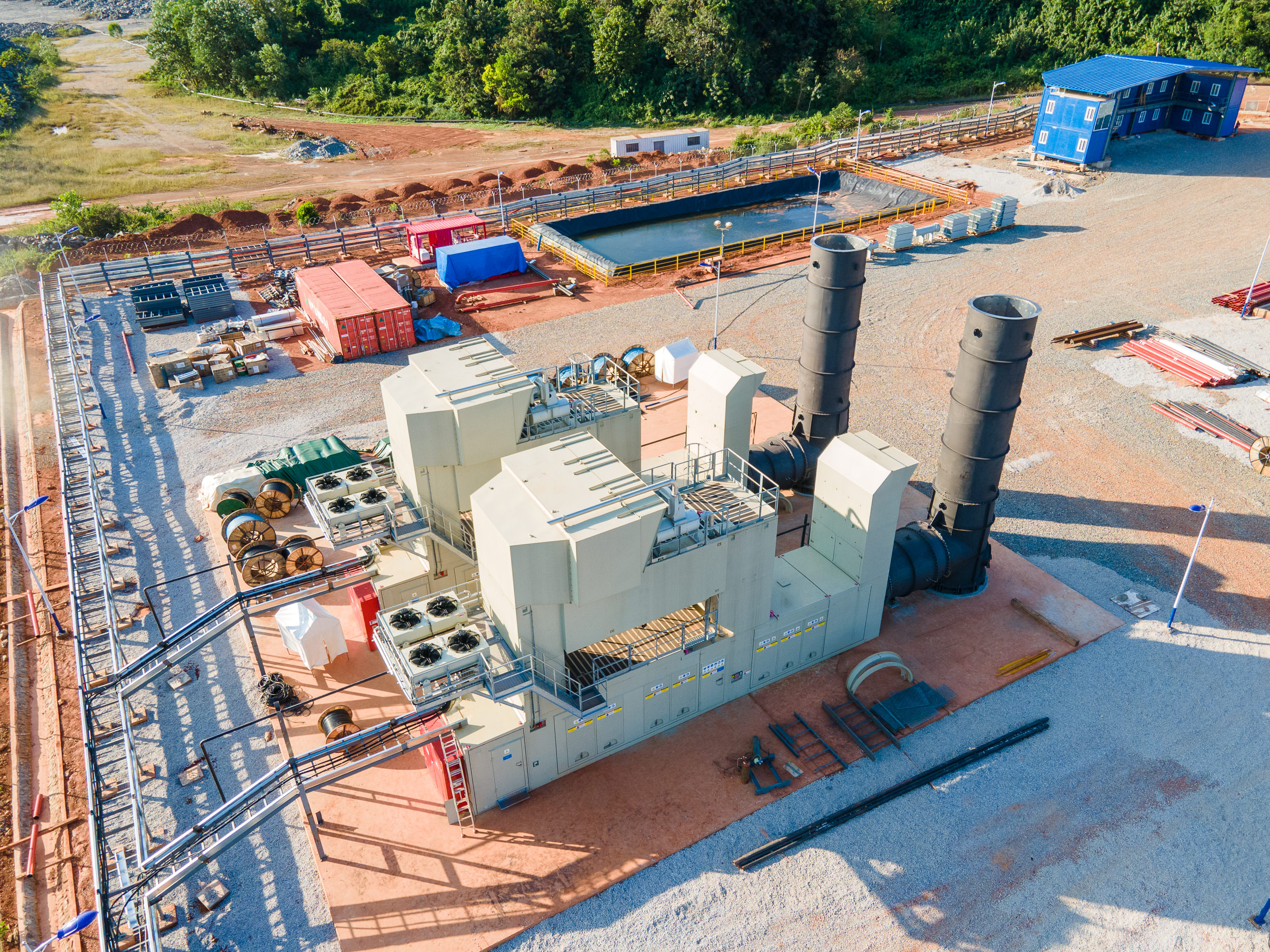 Wassa plant image 2