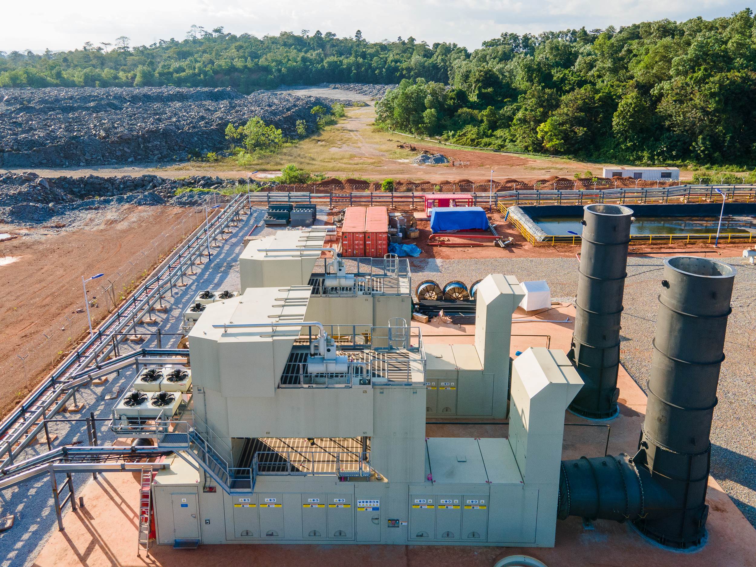 Wassa plant image 3